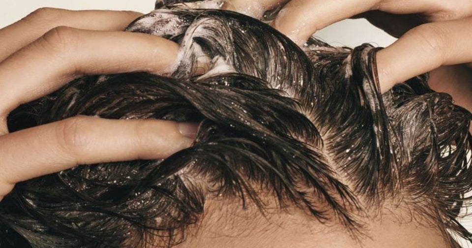 Professional scalp care products at Zennkai Vancouver — Kérastase Specifique, Davines Natural Tech and Nioxin scalp systems displayed on a clean white surface