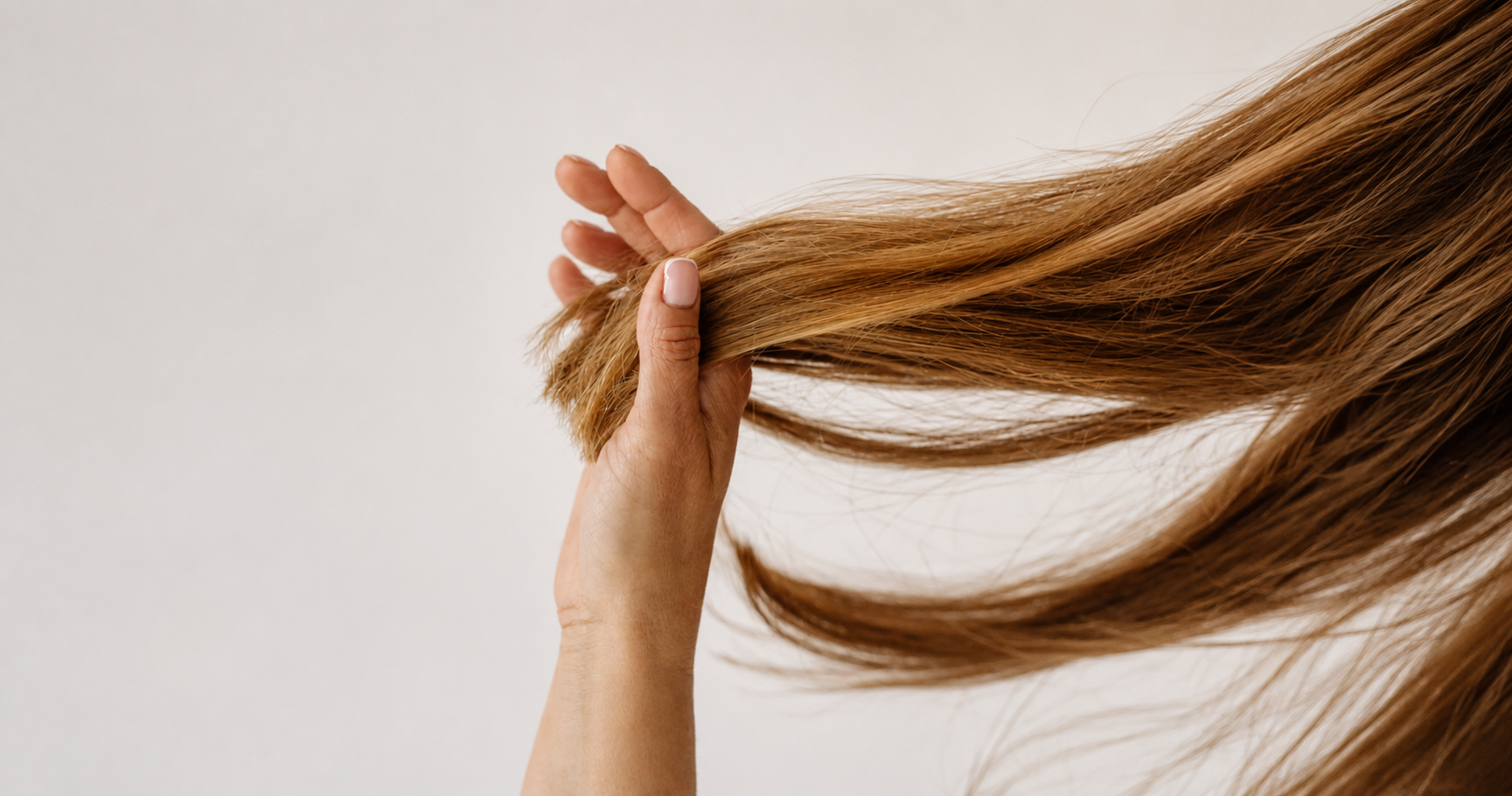 Fine Hair Favorites | Haircare Canada | Zennkai