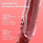 Amika The Protector Color Protect + Strengthen Shampoo Technology - Zennkai