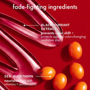 Amika The Protector Color Protect + Strengthen Shampoo Key Ingredients - Zennkai