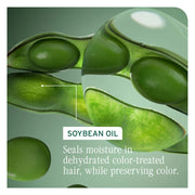 Biolage Colorlast Shampoo - Zennkai