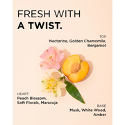DESIGNME Hold Me Fragrance Mist Key Notes - Zennkai