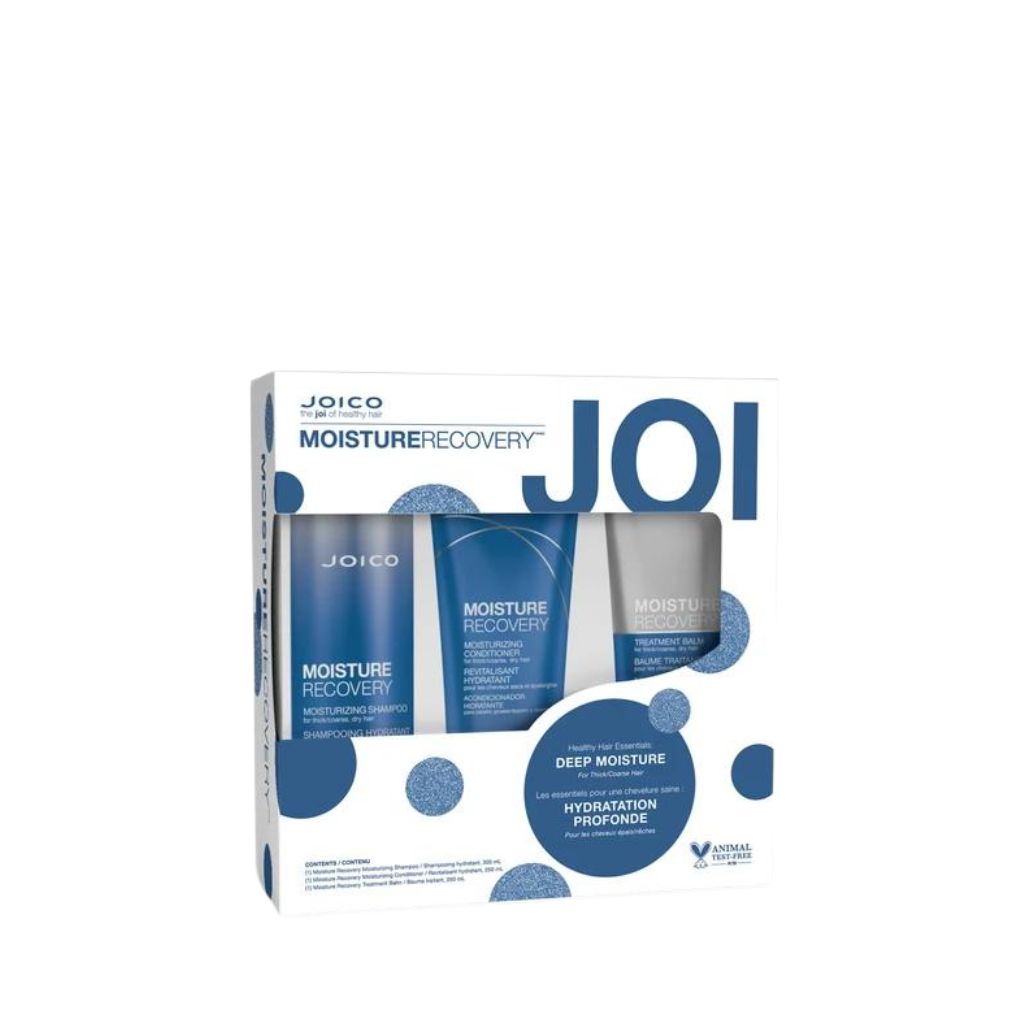 Joico Moisture Recovery Deep Moisture Holiday Set