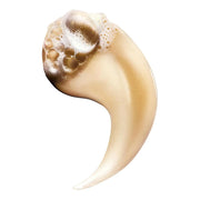 L'Oreal Professionnell Absolut Repair Instant Resurfacing Set - Zennkai