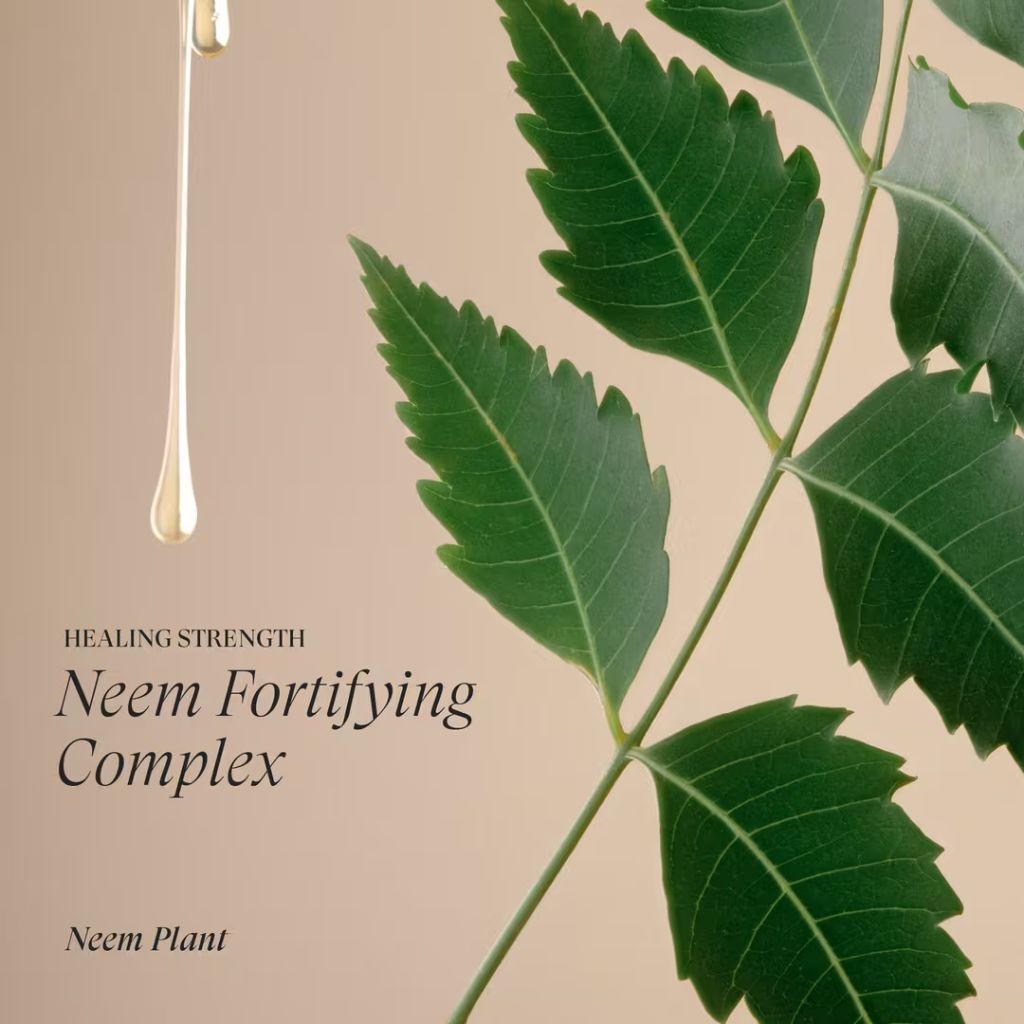 L'ANZA Healing Strength Shampoo - Zennkai