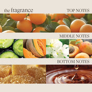 L'ANZA Healing Strength Shampoo - Zennkai