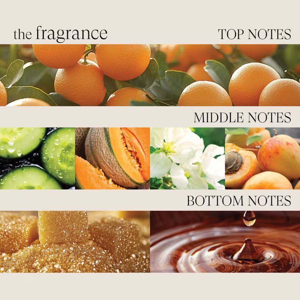 L'ANZA Healing Strength Shampoo - Zennkai