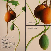 L'Anza Healing Moisture Moisturizing Mist - Zennkai