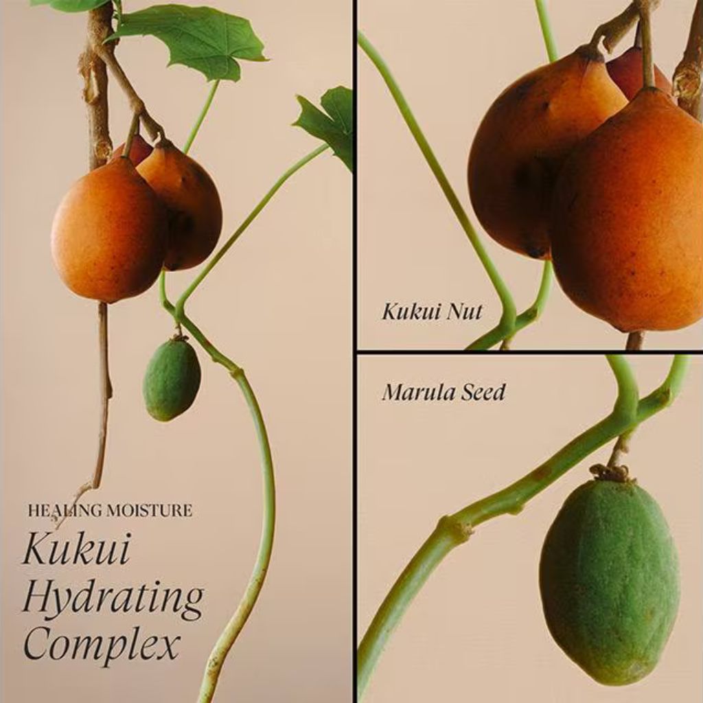 L'Anza Healing Moisture Moisturizing Mist - Zennkai