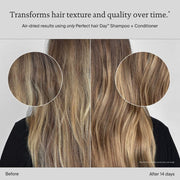 Living Proof PhD Perfect Hair Day Conditioner - Zennkai