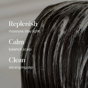 Essentials by LOMA Healthy Scalp Conditioner for Scalp Care Features and Benefits - Zennkai