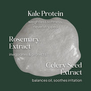 Essentials by LOMA Healthy Scalp Shampoo for Scalp Care Key Ingredients - Zennkai