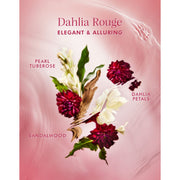 MoroccanOil Dahlia Rouge Hair and Body Fragrance Fragrance Notes - Zennkai