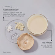 Milkshake Everlasting Bonds Leave-in Treatment Key Ingedients - Zennkai