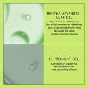 Nioxin System 2 Scalp + Hair Conditioner Key Ingredients - Zennkai