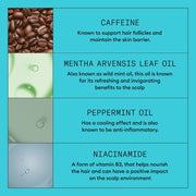 Nioxin System 3 Scalp Care + Hair Thickening System - Zennkai