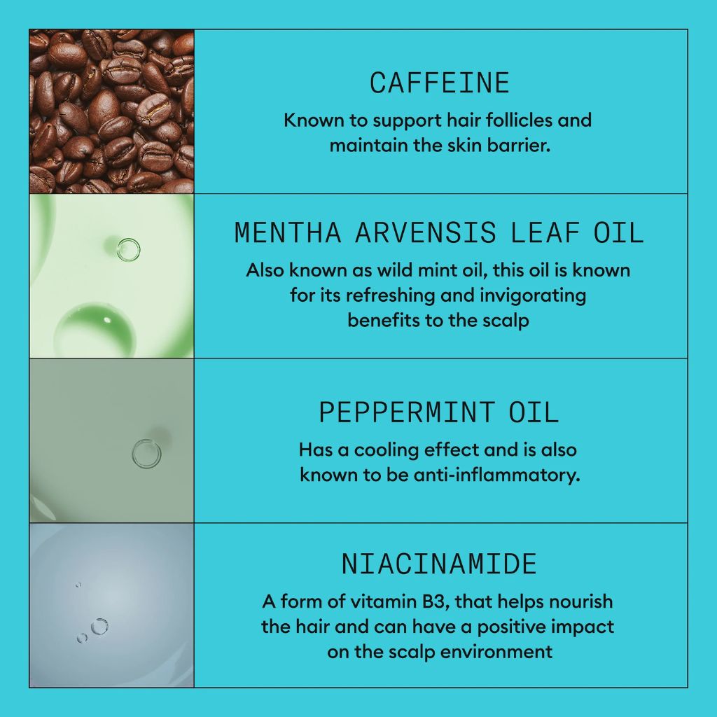 Nioxin System 3 Scalp Care + Hair Thickening System - Zennkai