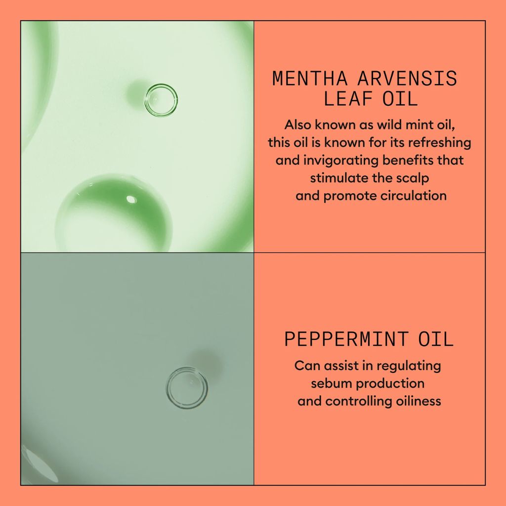 Nioxin System 4 Scalp + Hair Conditioner 1L - Zennkai