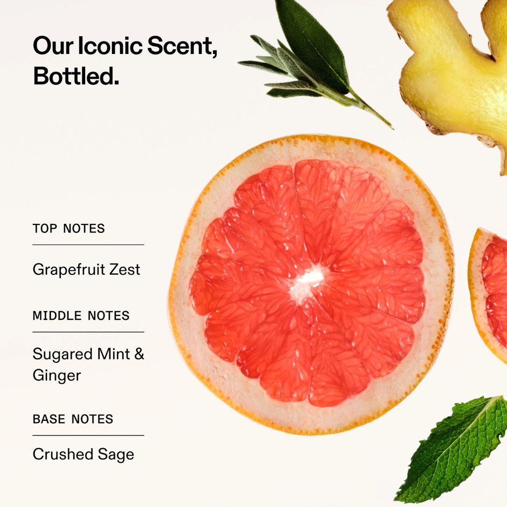 Olaplex Signature Hair & Body Mist Fragrance Notes - Zennkai
