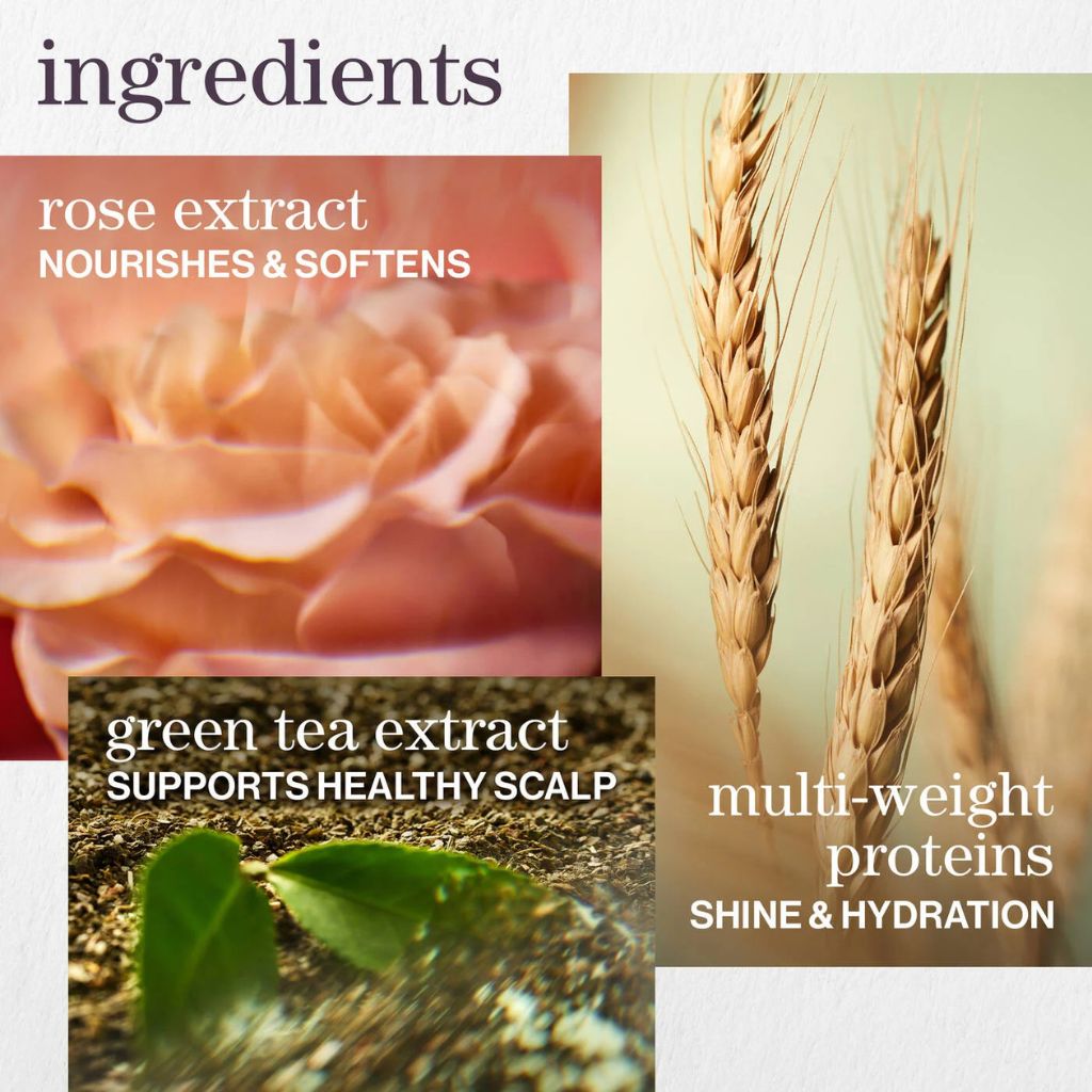 Pureology Hydrate Shampoo 1L - Zennkai