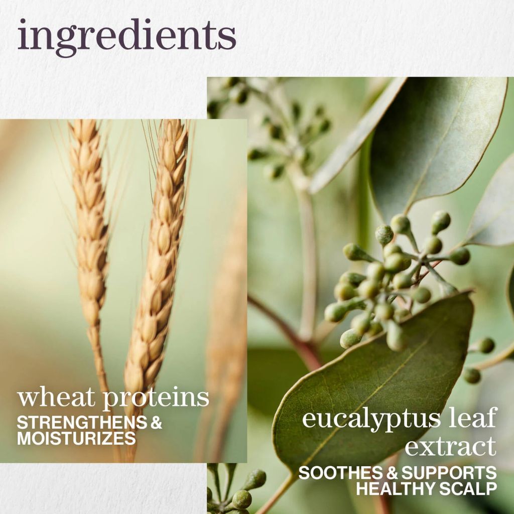 Pureology Hydrate Sheer Conditioner 1L - Zennkai