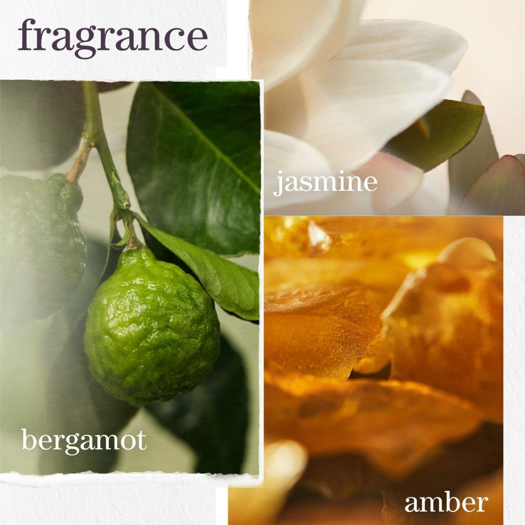 Pureology Strength Cure for Damaged Hair Set - Zennkai