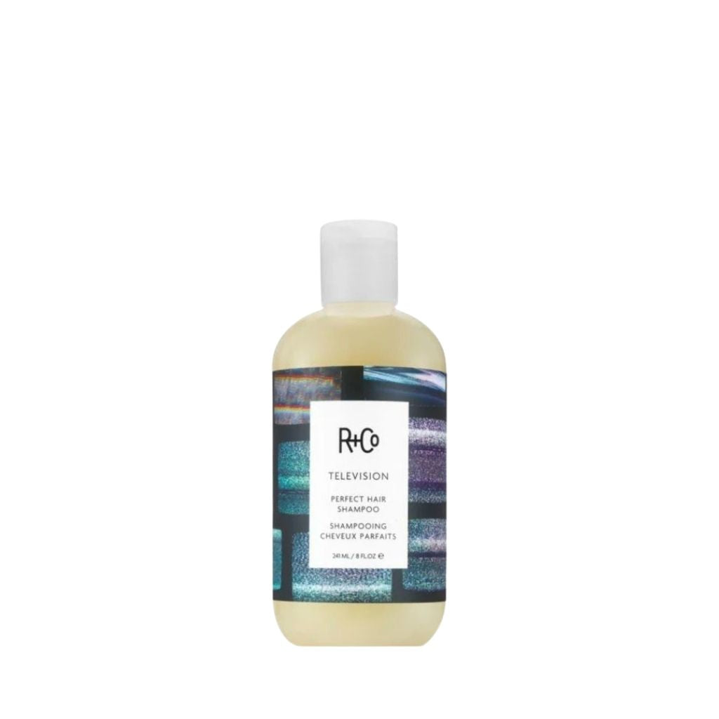 R+Co TELEVISION Perfect Hair Shampoo - Zennkai
