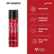 Big Sexy Hair Dry Shampoo