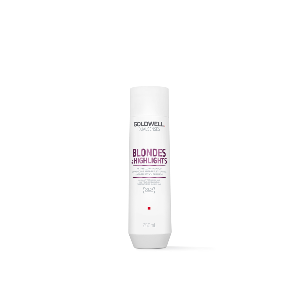 Goldwell Dualsenses Blondes & Highlights Shampoo - Zennkai